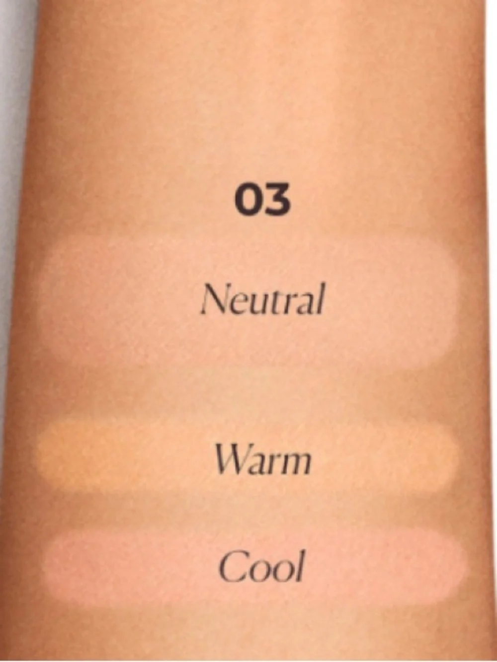 Laura Mercier Camouflage Complexion Perfector